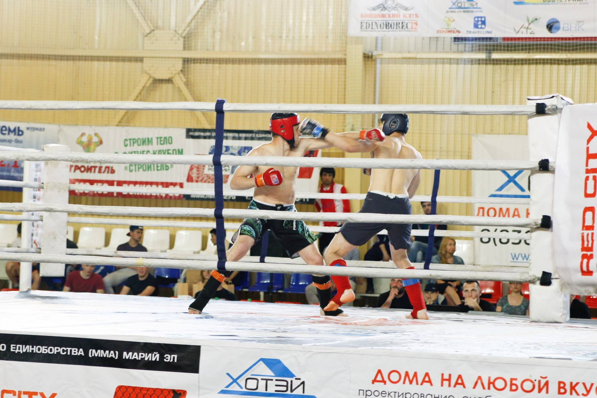 Йошкар-олинские борцы ММА сразились со спортсменами 5 регионов