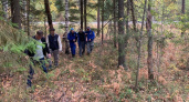 Житель Медведевского района заблудился во время утренней прогулки в лесу