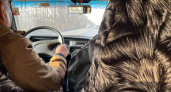 За это нарушение водителей в России оштрафуют дважды: как не допустить фатальную ошибку