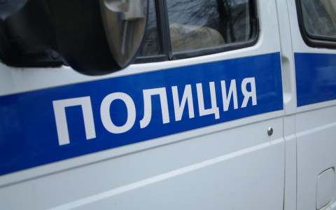 В Йошкар-Оле экс-полицейский получил "условку" за избиение задержанного