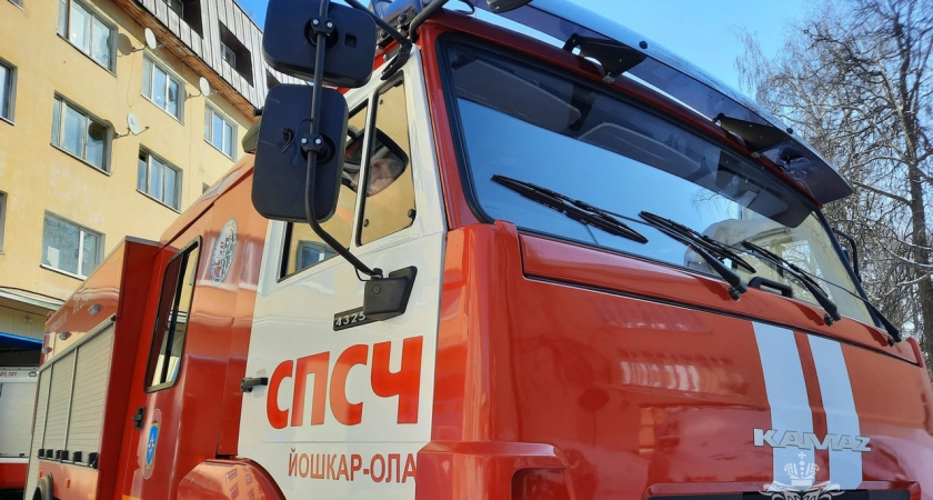 Девятнадцать пожарных тушили пожар в Медведевском районе 