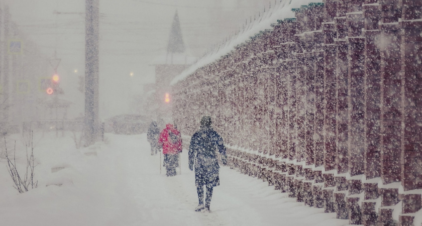 Январские снегопады предупреждают о дождливом лете: что скажет эколог о народных приметах зимы