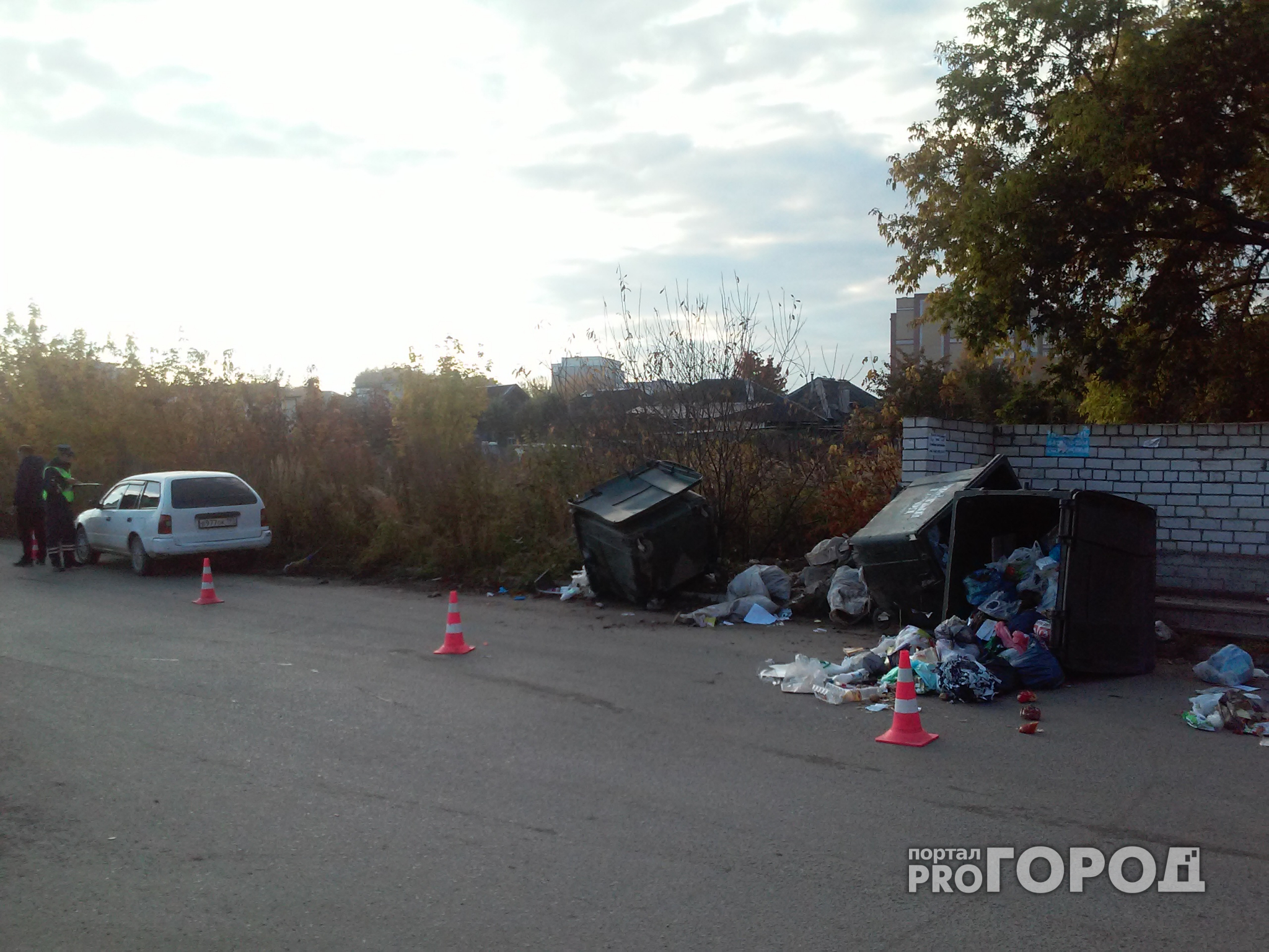В Йошкар-Оле водитель иномарки снес мусорные баки вместе с бабушкой