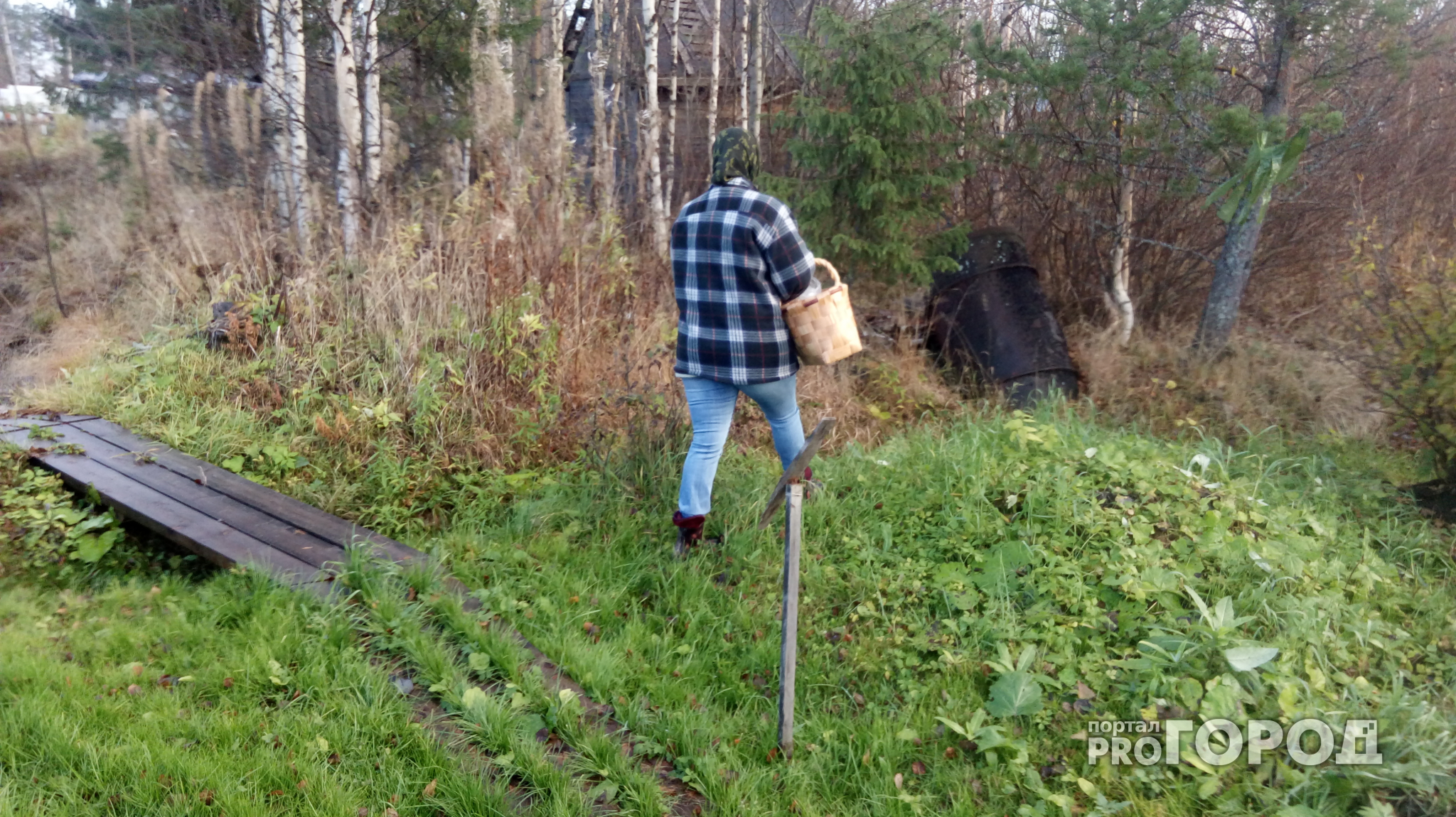 Новости России:Госдума готовит новый закон о сборе грибов и ягод