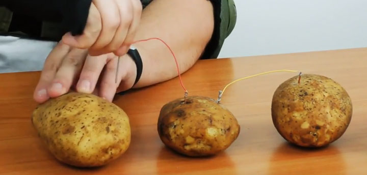 Йошкар-олинские дети доказали, что электричество реально добыть из картошки