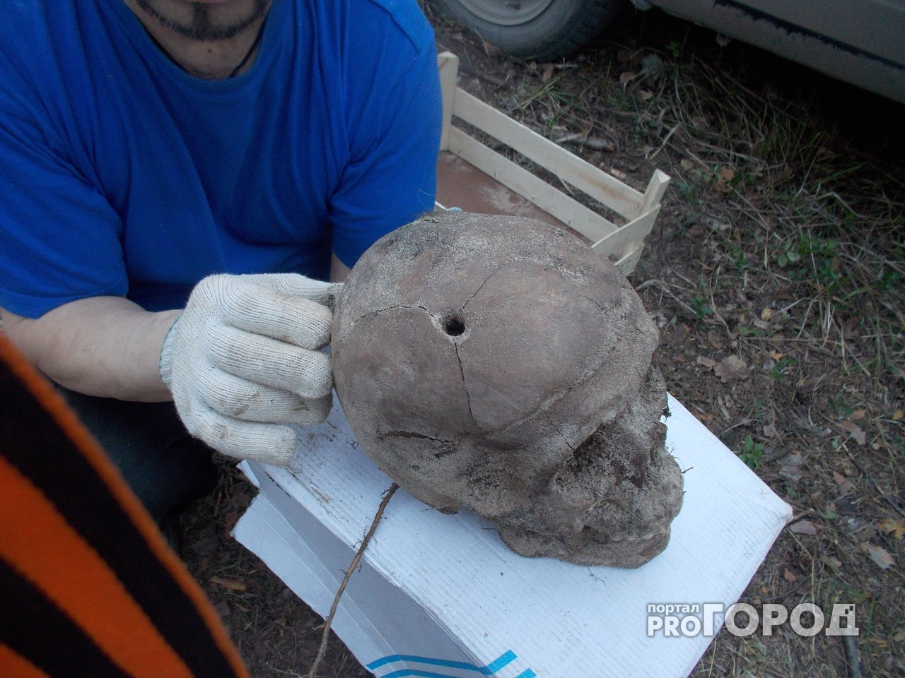 Директора музея ГУЛАГа в Йошкар-Оле оштрафовали за выкопанные кости