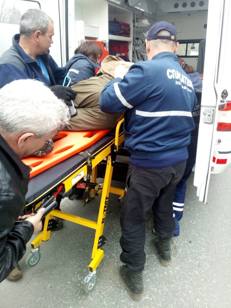 Мужчина, на которого упало дерево в Звениговском районе, погиб