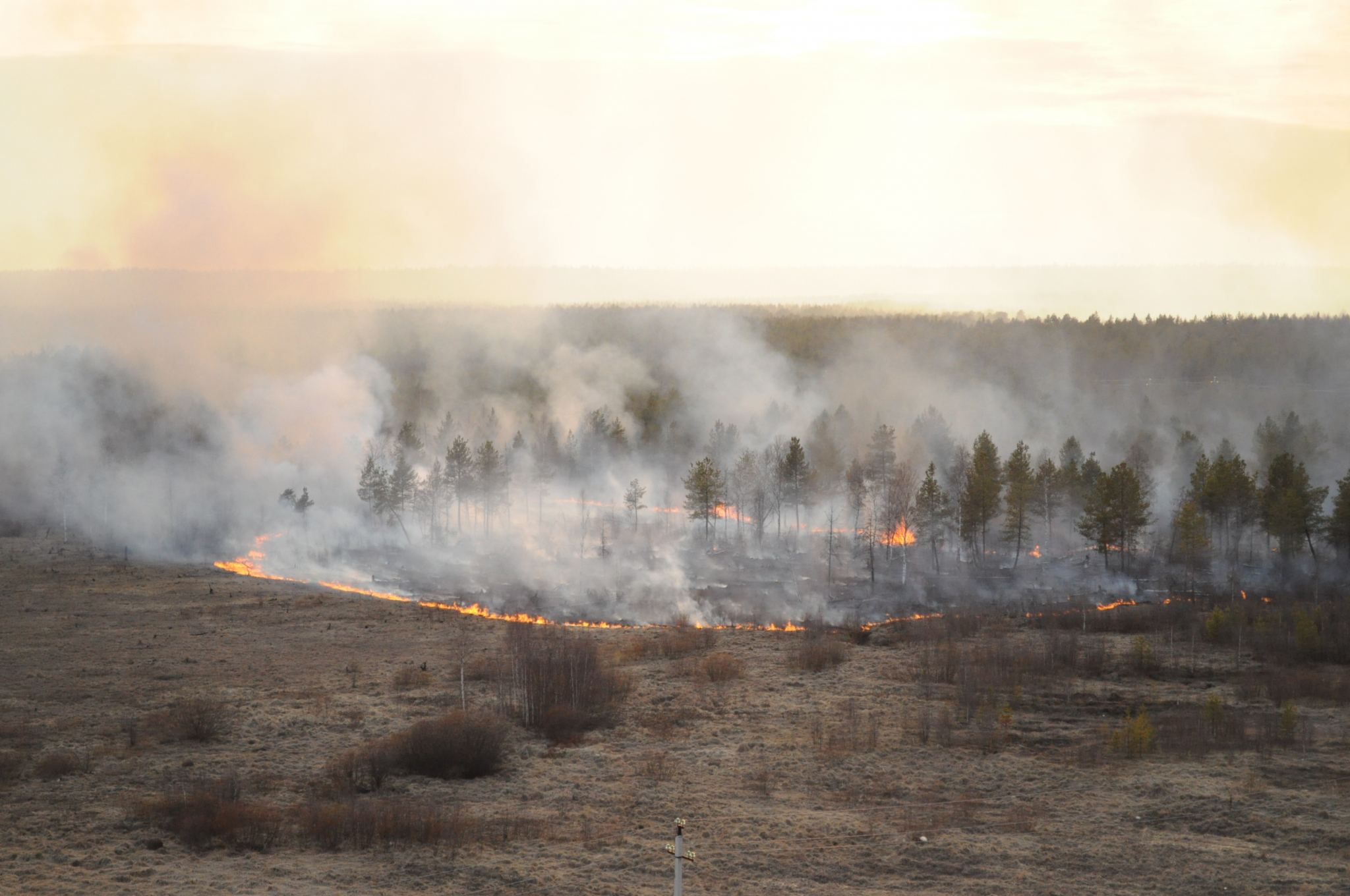 Пожарные-десантники из Марий Эл тушат лесные пожары на Чукотке