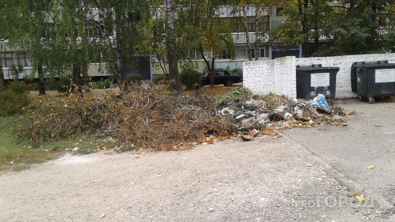 «Грязь, разруха и сухая листва»: в йошкар-олинских дворах не убирают мусор