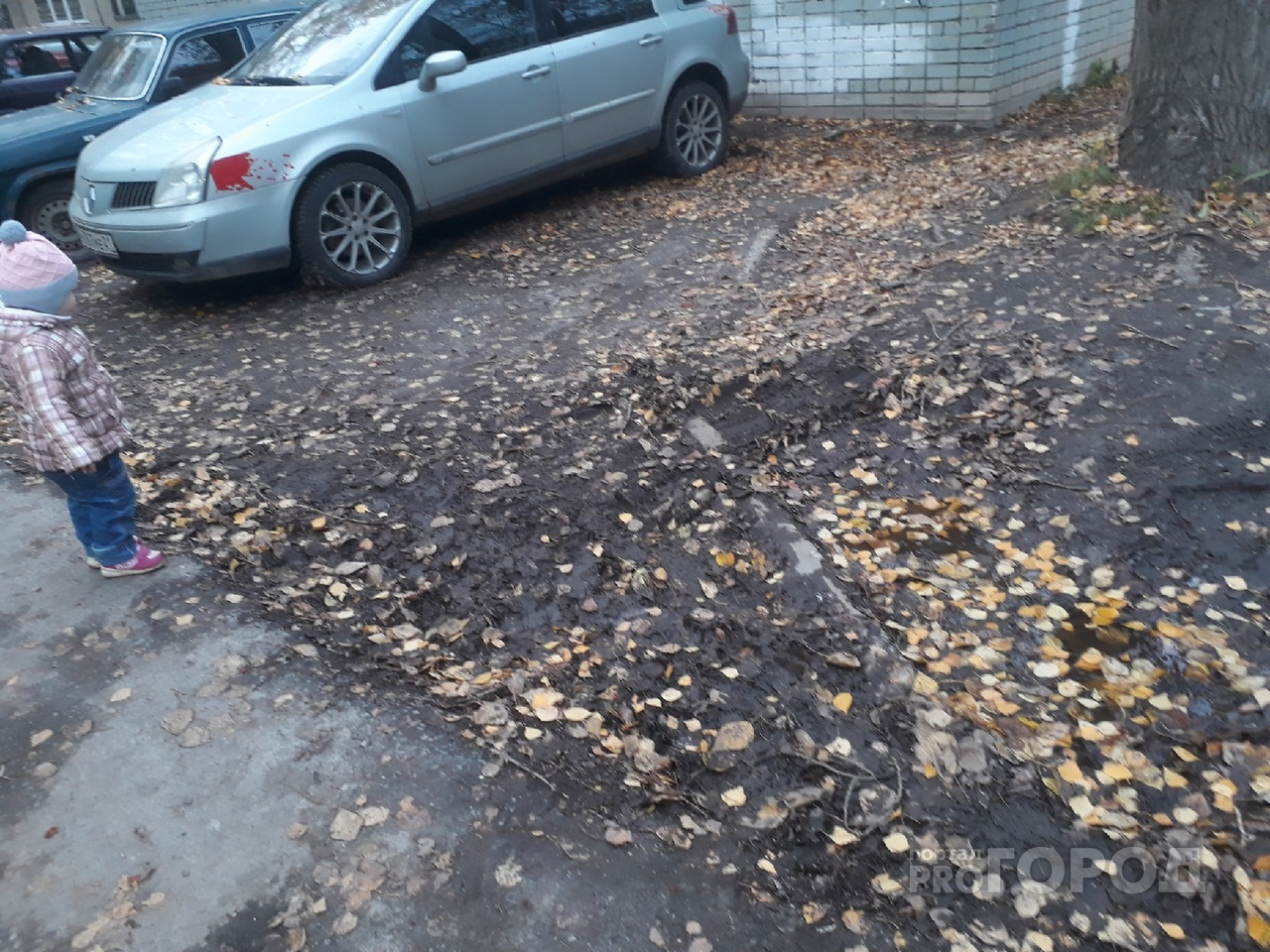 Администрация Йошкар-Олы пыталась оштрафовать автомобилиста за парковку на несуществующем газоне