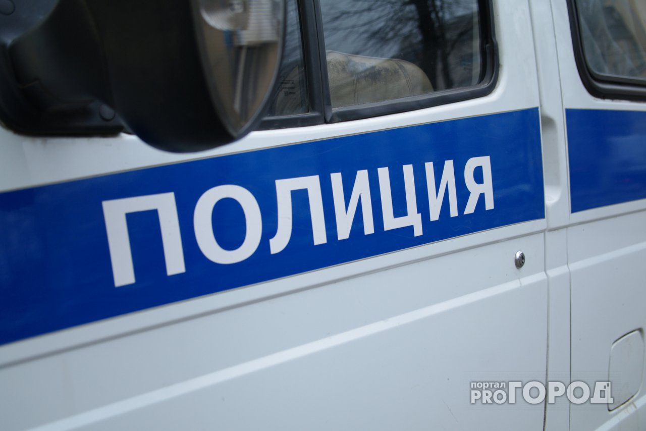 Полицейские из Йошкар-Олы задержали мошенника из Санкт-Петербурга