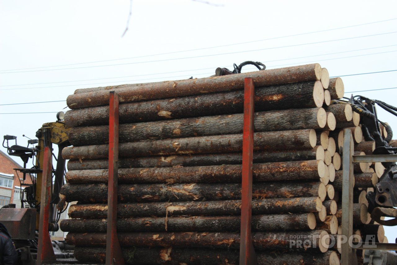 Ущерб более 3 миллионов: в Марий Эл незаконно вырубили деревья