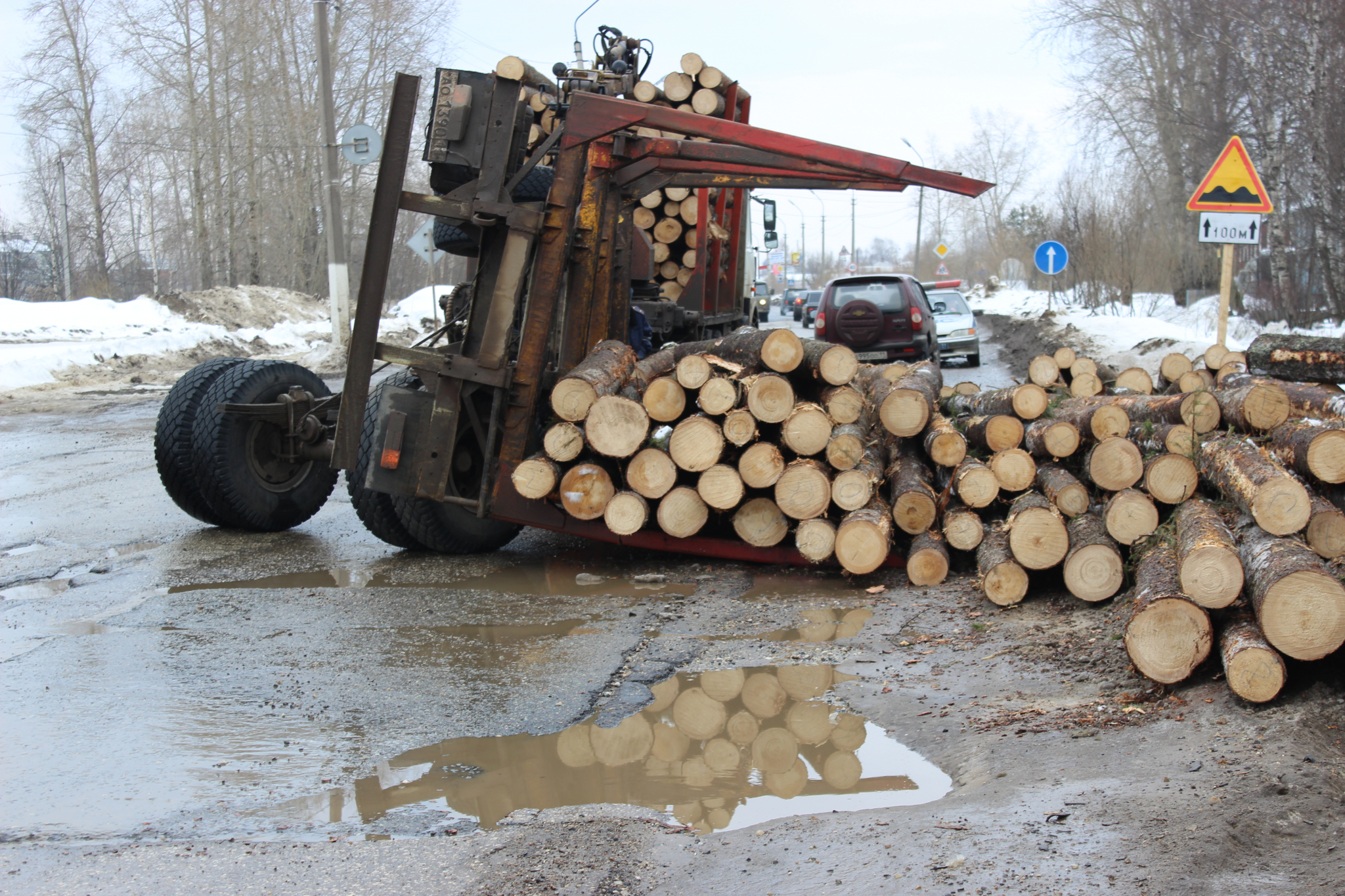 В Марий Эл незаконно вырубили деревья на более 1,8 миллионов рублей