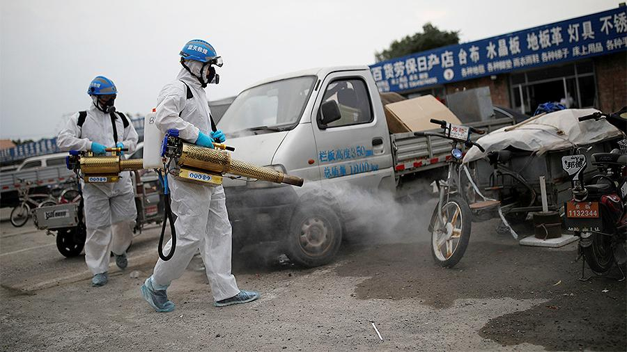 «Это только начало»: в Пекине обнаружен новый вид опасного вируса