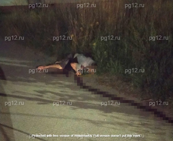 Убийство на Ремзаводе: в Йошкар-Оле полиция задержала подозреваемого