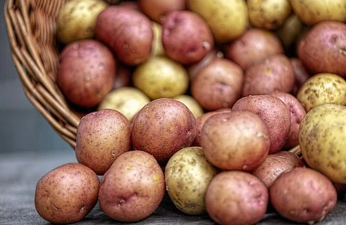 Будет ли дефицит картофеля в России?