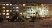 Мороз крепчал: по ночам в Йошкар-Оле ищут замерзающих людей