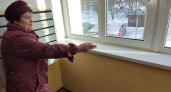 Многоквартирный дом в Йошкар-Оле подвергся нашествию мух: "УК глуха к нашим просьбам"