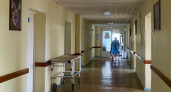 Более 15 жителей Марий Эл слегли в больницы с мышиной лихорадкой