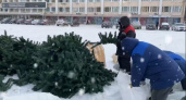 На главной йошкар-олинской площади начали устанавливать новогоднюю ель