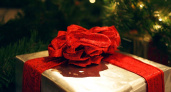 Йошкаролинцы составили свой топ желанных подарков на Новый год