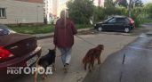 Жителей Марий Эл будут штрафовать за неправильный выгул собак: 5 новых правил