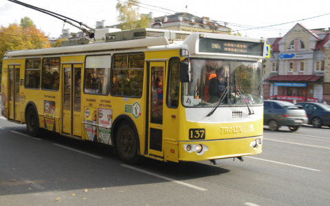 Сколько будет стоить поездка на троллейбусе в Йошкар-Оле?