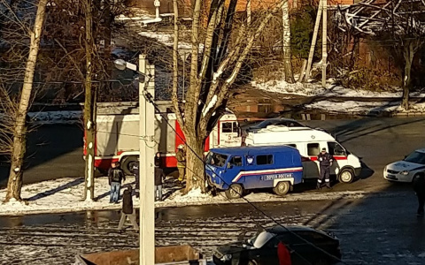ДТП в Йошкар-Оле: «почта России» въехала в дерево