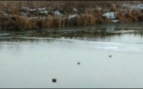 Началось...В Йошкар-Оле провалившегося под лед 19-летнего парня спас рыбак