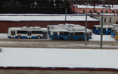 В Йошкар-Оле московские троллейбусы не сталкиваются с трудностями