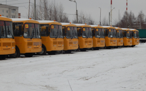 Сегодня школы получат 21 автобус, которые находились на стоянке в Йошкар-Оле
