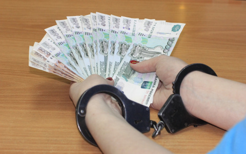 Йошкаролинка помогла заплатить за «ипотеку» и оказалась в полиции