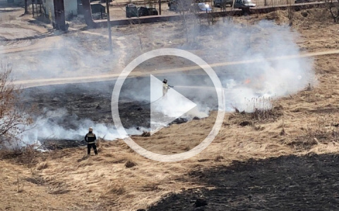 В Йошкар-Оле снова загорелось поле, которое тушили пожарные два дня назад