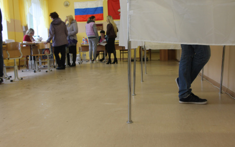 Избиратели из Марий Эл смогут подавать заявления, не выходя из дома