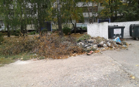 «Грязь, разруха и сухая листва»: в йошкар-олинских дворах не убирают мусор