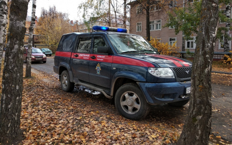 Следователи провели обыск у родного брата экс-мэра Йошкар-Олы Плотникова