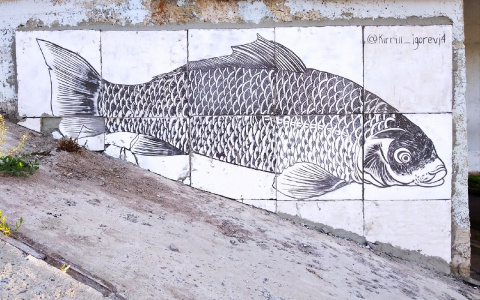 В Йошкар-Оле на набережной поселилась чудо-рыба