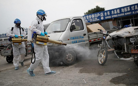 «Это только начало»: в Пекине обнаружен новый вид опасного вируса