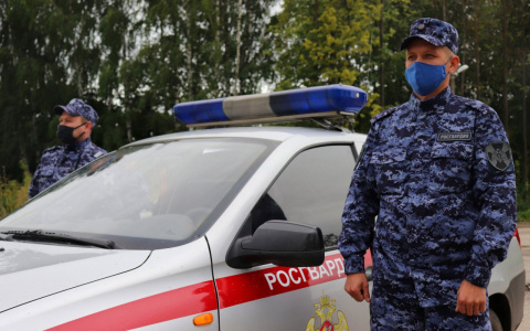 Разбил лицо в кровь: в Йошкар-Оле задержан мужчина избивший сожительницу