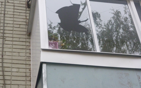 Соседи одного из жилых домов Йошкар-Олы сильно поругались из-за ночных «тусовок»