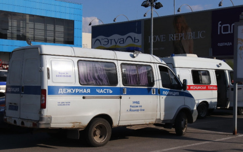 Штраф от 1,5 тысячи рублей грозит водителям и пешеходам в Марий Эл