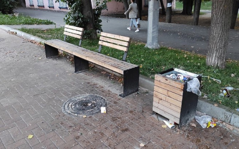 «А убирать это все кто будет?»: бульвар на улице Рябинина «тонет» в мусоре